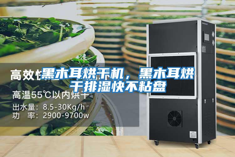 黑木耳烘干機，黑木耳烘干排濕快不粘盤