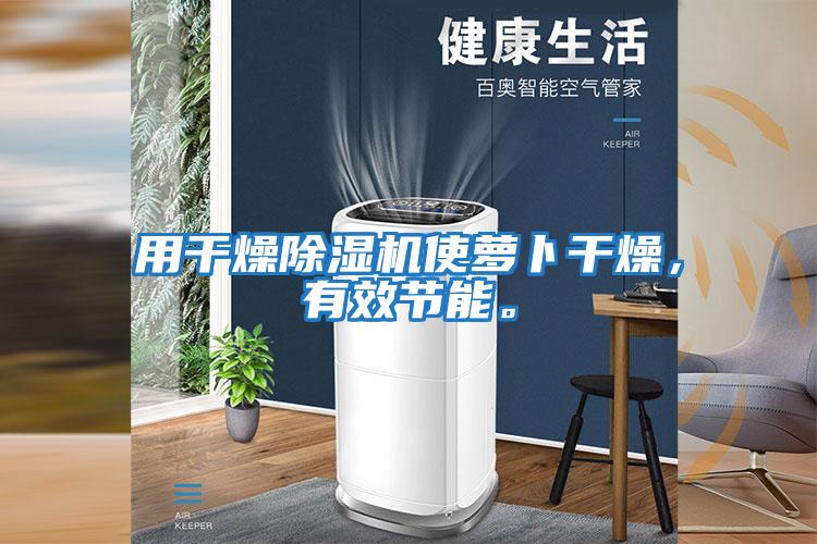 用干燥除濕機(jī)使蘿卜干燥，有效節(jié)能。