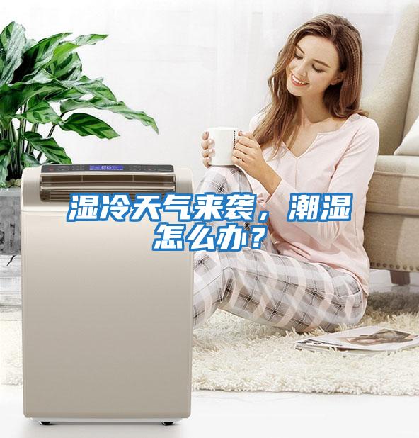 濕冷天氣來襲，潮濕怎么辦？