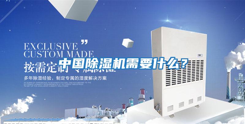 中國除濕機需要什么？