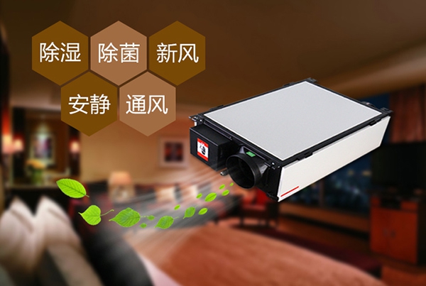 防范豬仔大腸桿菌病，用過氧化氫低溫滅菌器