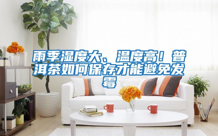 雨季濕度大、溫度高!普洱茶如何保存才能避免發(fā)霉