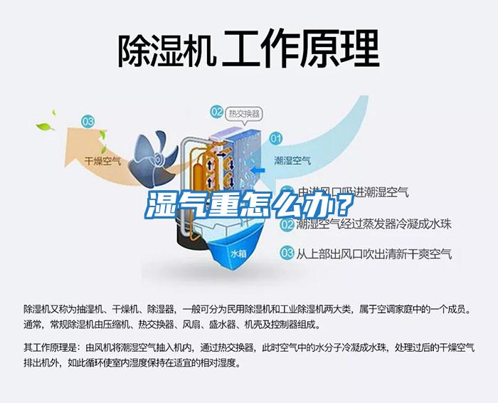 濕氣重怎么辦？