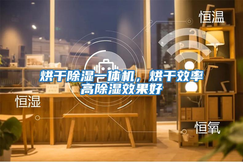 烘干除濕一體機(jī)，烘干效率高除濕效果好