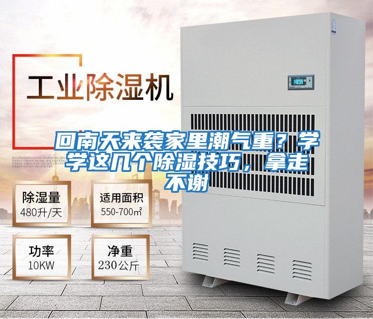 回南天來襲家里潮氣重？學學這幾個除濕技巧，拿走不謝