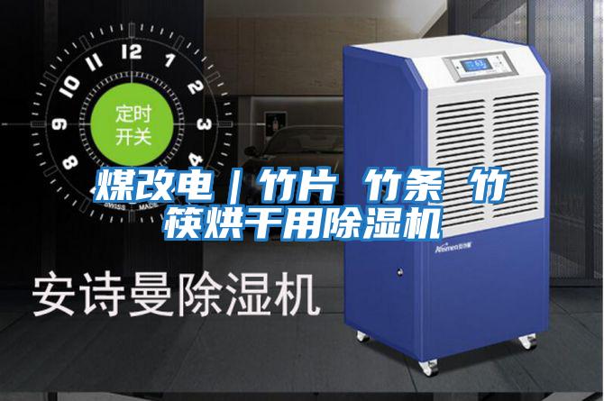 煤改電|竹片 竹條 竹筷烘干用除濕機