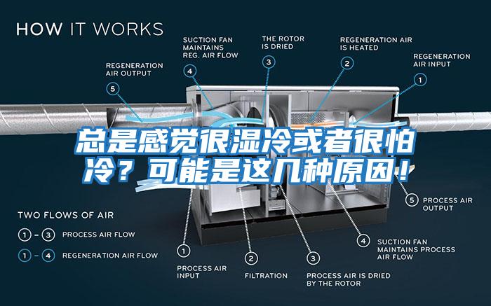 總是感覺(jué)很濕冷或者很怕冷？可能是這幾種原因！