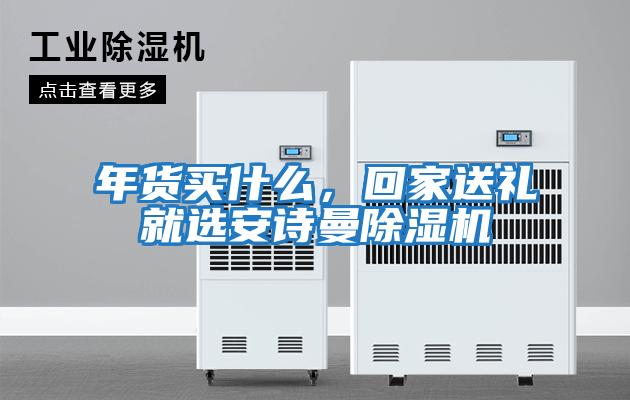 年貨買什么，回家送禮就選安詩曼除濕機