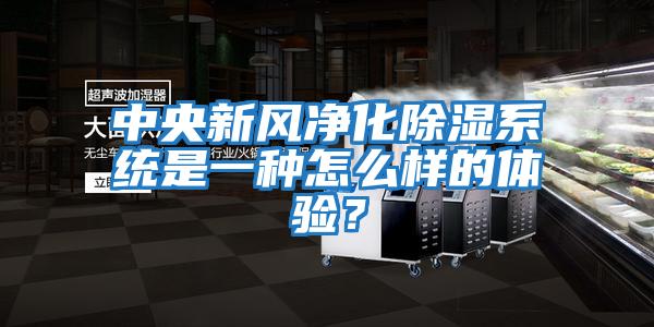 中央新風凈化除濕系統是一種怎么樣的體驗？