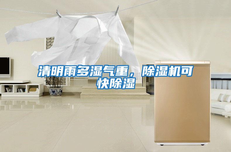 清明雨多濕氣重，除濕機可快除濕