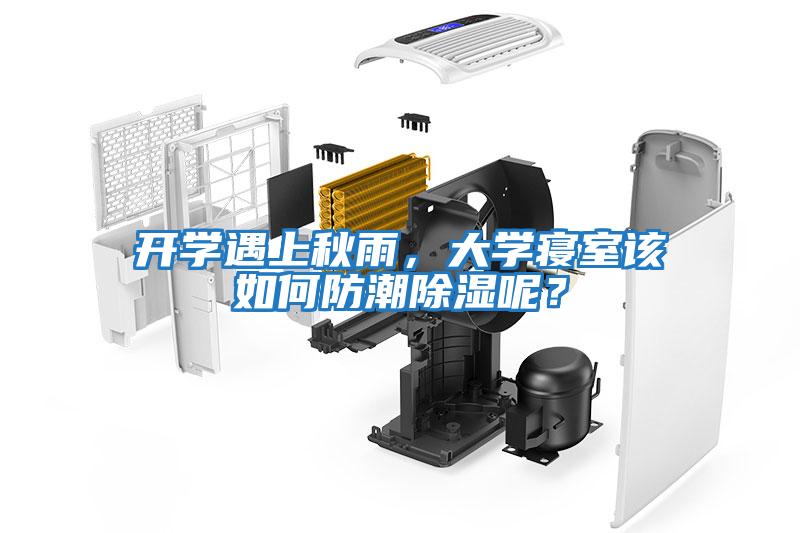 開學遇上秋雨，大學寢室該如何防潮除濕呢？