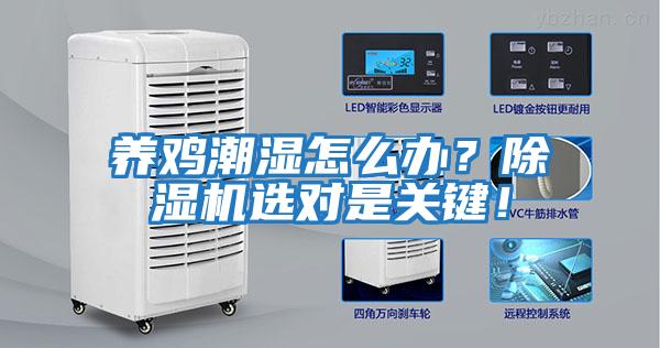 養(yǎng)雞潮濕怎么辦？除濕機(jī)選對(duì)是關(guān)鍵！