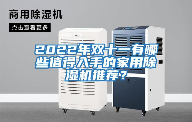 2022年雙十一有哪些值得入手的家用除濕機推薦？