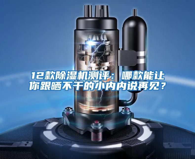 12款除濕機測評：哪款能讓你跟曬不干的小內內說再見？