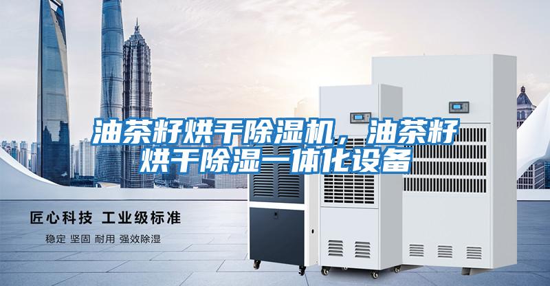 油茶籽烘干除濕機，油茶籽烘干除濕一體化設備