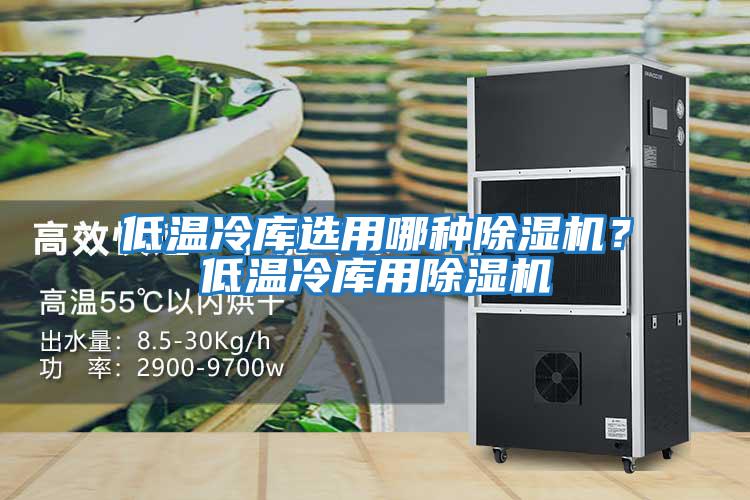 低溫冷庫選用哪種除濕機？低溫冷庫用除濕機