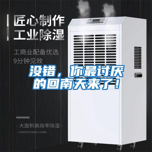 沒錯，你最討厭的回南天來了！