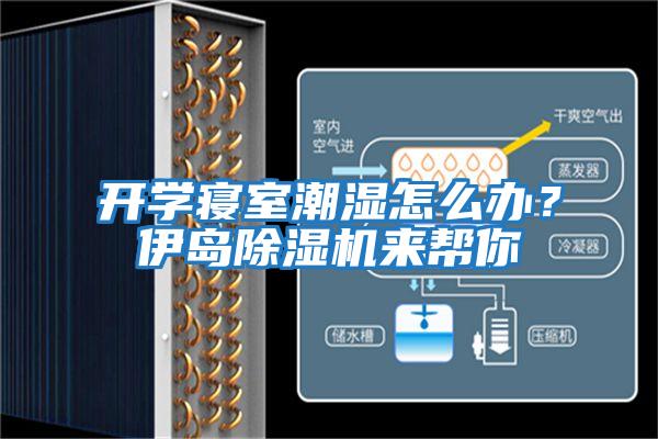 開學寢室潮濕怎么辦？伊島除濕機來幫你