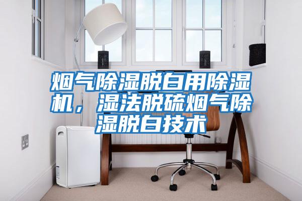 煙氣除濕脫白用除濕機(jī)，濕法脫硫煙氣除濕脫白技術(shù)