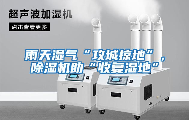 雨天濕氣“攻城掠地”，除濕機助“收復濕地”