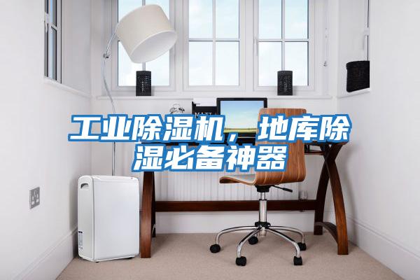 工業(yè)除濕機(jī)，地庫除濕必備神器