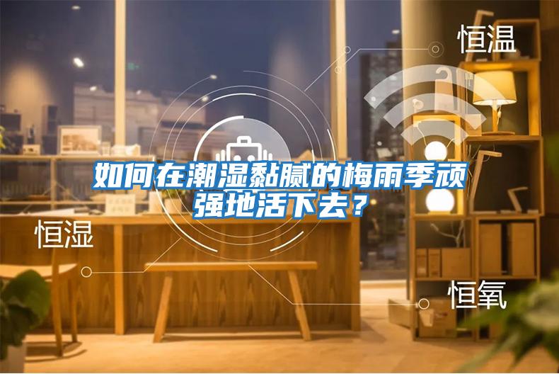 如何在潮濕黏膩的梅雨季頑強地活下去？