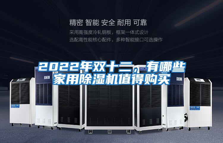 2022年雙十二，有哪些家用除濕機值得購買
