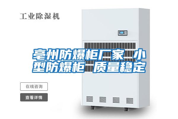 亳州防爆柜廠(chǎng)家 小型防爆柜 質(zhì)量穩(wěn)定