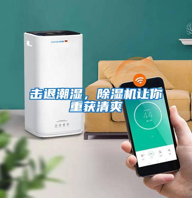 擊退潮濕，除濕機讓你重獲清爽