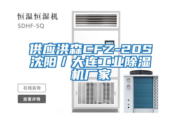 供應洪森CFZ-20S沈陽/大連工業除濕機廠家