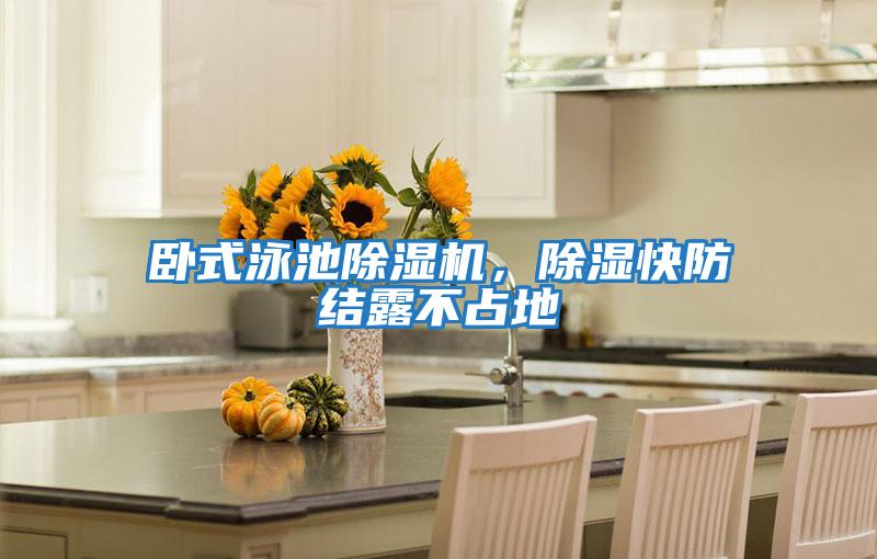 臥式泳池除濕機，除濕快防結露不占地