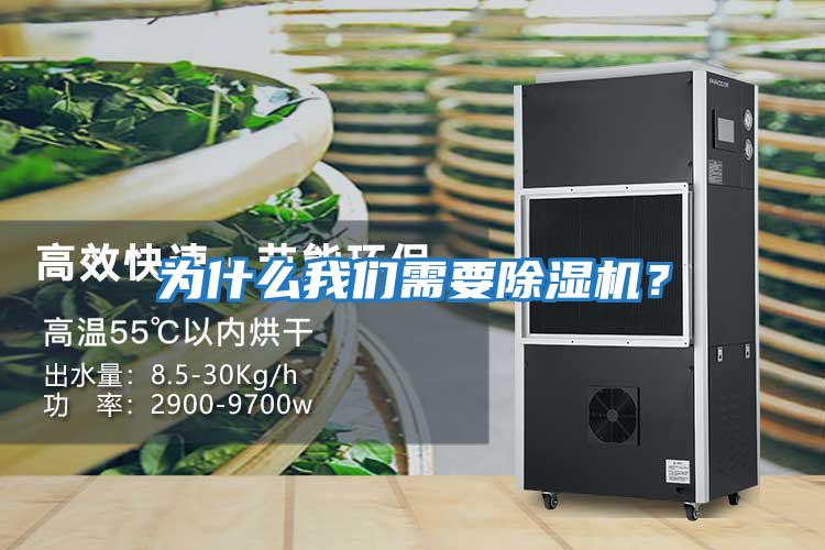 為什么我們需要除濕機？
