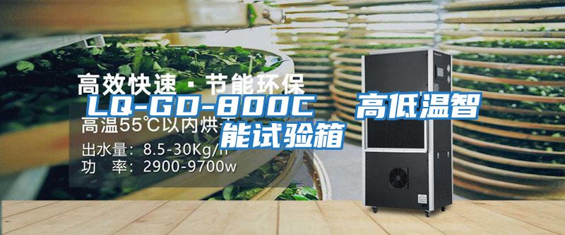 LQ-GD-800C 高低溫智能試驗箱