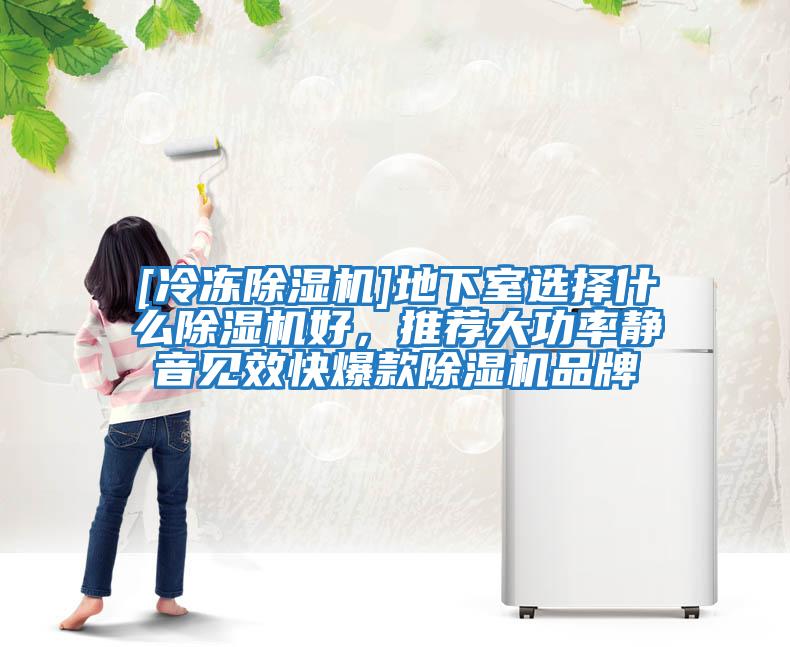 [冷凍除濕機(jī)]地下室選擇什么除濕機(jī)好，推薦大功率靜音見(jiàn)效快爆款除濕機(jī)品牌