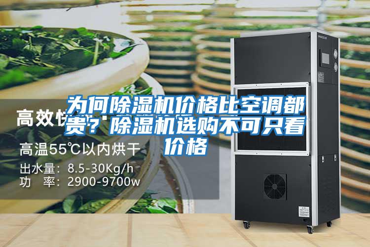為何除濕機價格比空調都貴？除濕機選購不可只看價格