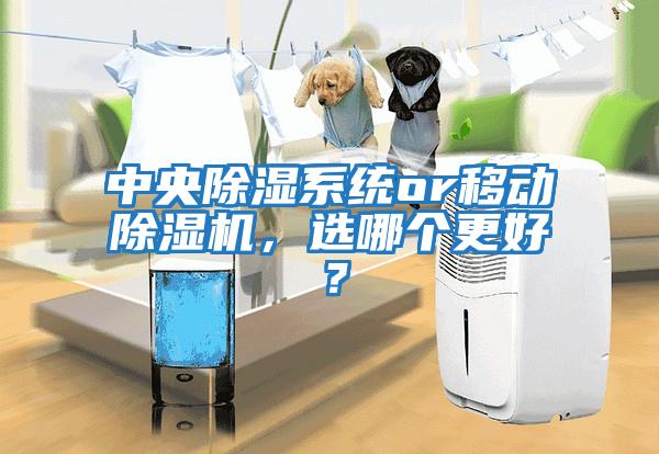 中央除濕系統(tǒng)or移動除濕機(jī)，選哪個更好？