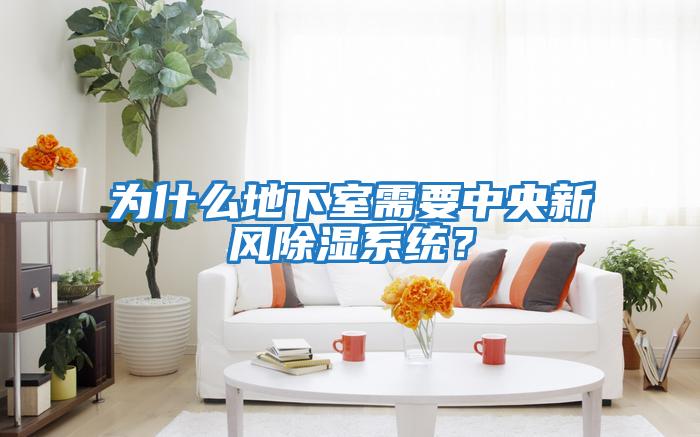 為什么地下室需要中央新風除濕系統？