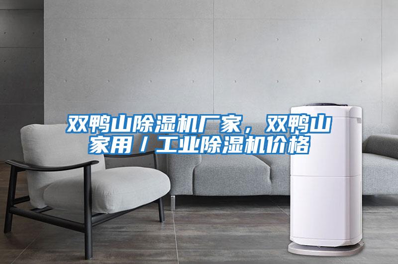 雙鴨山除濕機廠家，雙鴨山家用／工業(yè)除濕機價格