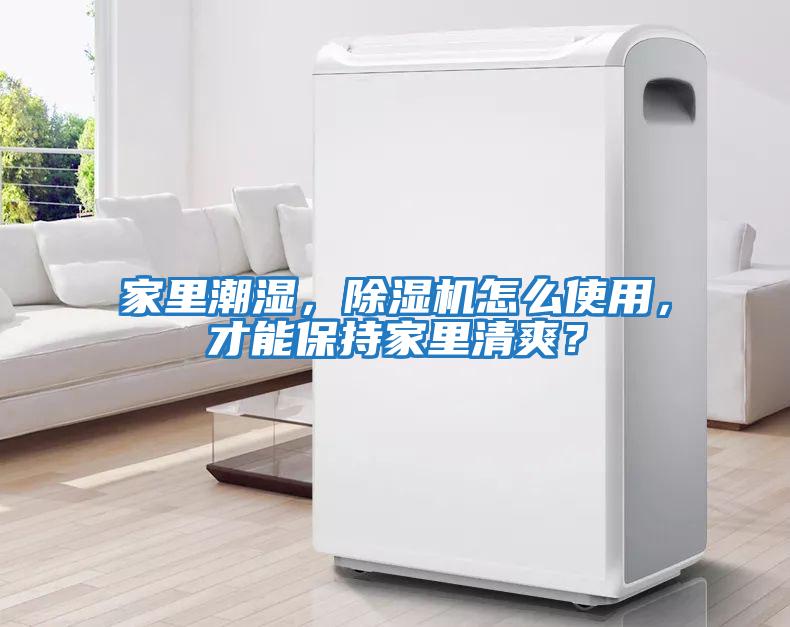 家里潮濕，除濕機(jī)怎么使用，才能保持家里清爽？