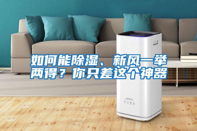 如何能除濕、新風(fēng)一舉兩得？你只差這個(gè)神器