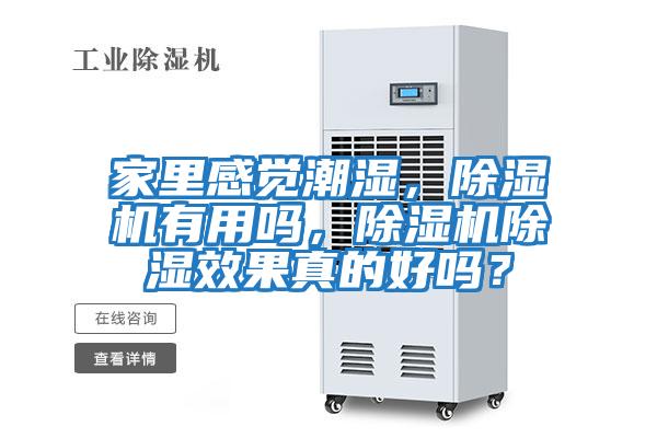 家里感覺潮濕，除濕機有用嗎，除濕機除濕效果真的好嗎？