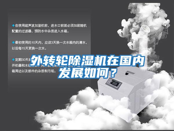 外轉(zhuǎn)輪除濕機(jī)在國(guó)內(nèi)發(fā)展如何？