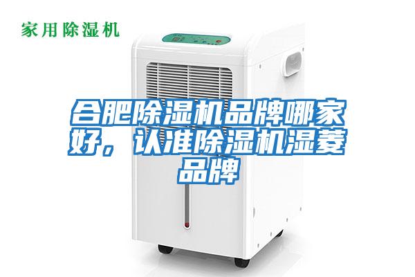 合肥除濕機品牌哪家好，認準除濕機濕菱品牌
