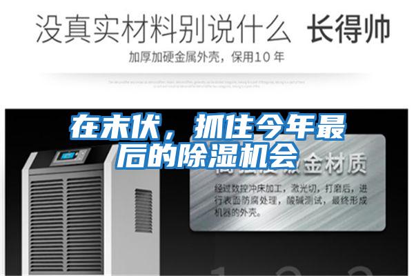 在末伏，抓住今年最后的除濕機(jī)會