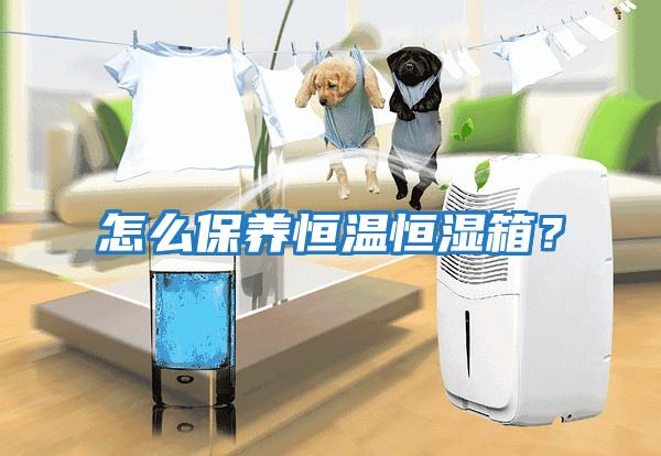怎么保養恒溫恒濕箱？