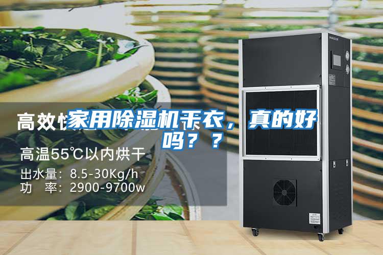家用除濕機干衣，真的好嗎？？