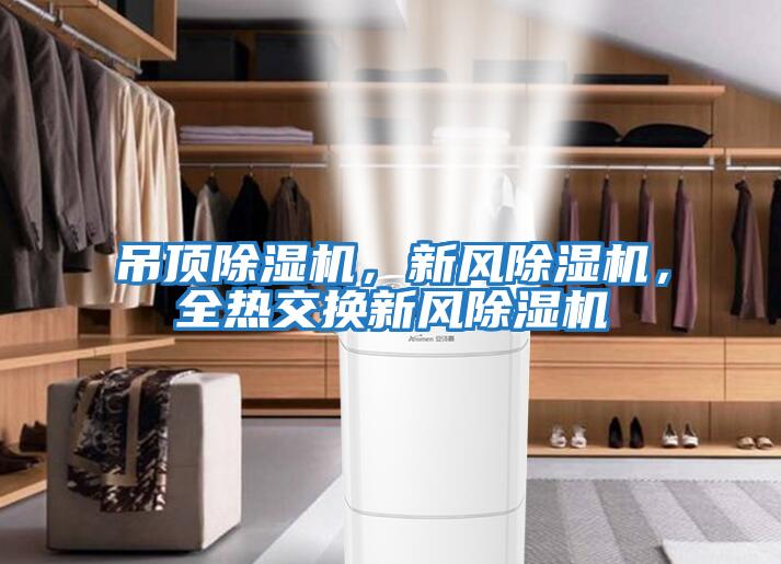吊頂除濕機，新風除濕機，全熱交換新風除濕機