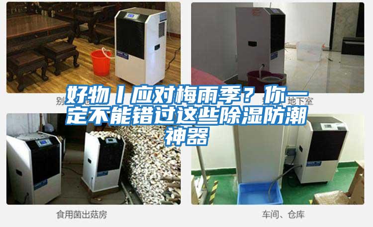 好物丨應對梅雨季？你一定不能錯過這些除濕防潮神器