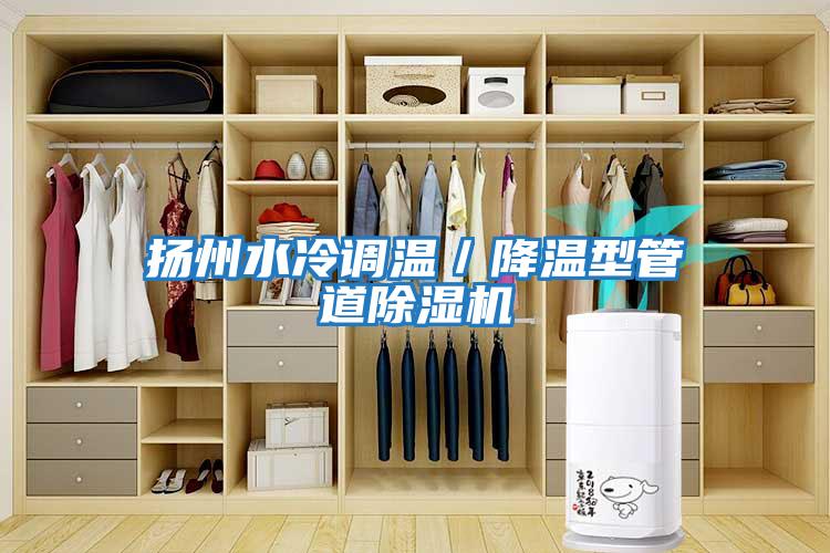 揚州水冷調(diào)溫／降溫型管道除濕機(jī)