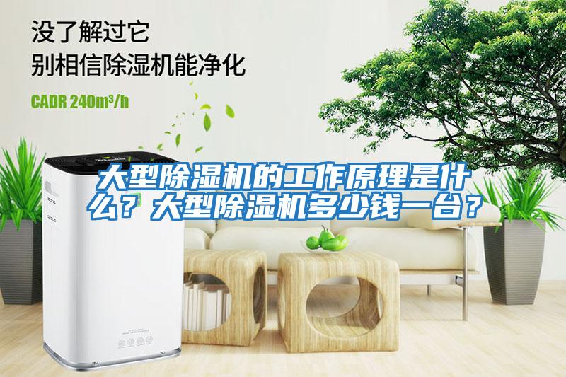 大型除濕機(jī)的工作原理是什么？大型除濕機(jī)多少錢一臺？